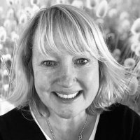 Suzanne (@traynors) 's Twitter Profile Photo