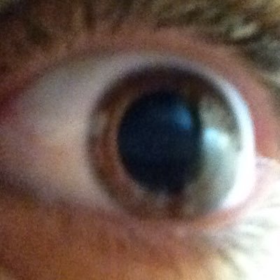 Paulo35571634's profile picture. Curioso