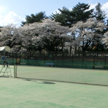 栃木県高体連ソフトテニス専門部公式アカウントです。大会の速報等を発信します。😀