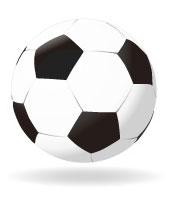 fudbal's profile picture. najvažnija sporedna stvar na svetu