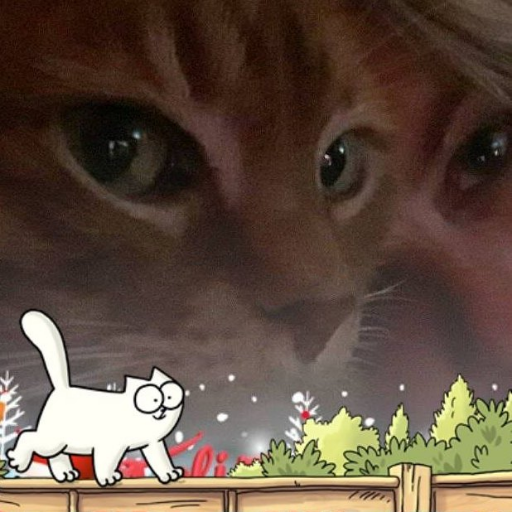 silviasaf40's profile picture. 😜 😜😜😜Totalmente Loca.
Ama de casa y escritora de la vida misma, la vida vista desde la locura. 
https://t.co/TdT1hfpZDw
Los invito a leer mi blog