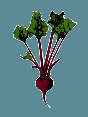 BeetnikMedia's profile picture. We're a digital strategy firm with serious sense of creativity. Fostering online community is what we do best. Founded by @AnarchyGarden and @LifeOnTheBlcny