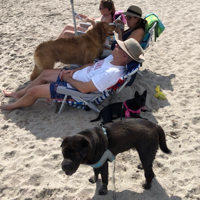 Best Dog Beach In Florida! Send us your dog stories to post!