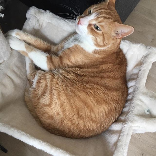 raikirakete1's profile picture. https://t.co/AiMLVnCeLa
https://t.co/m7tdxhnbEv