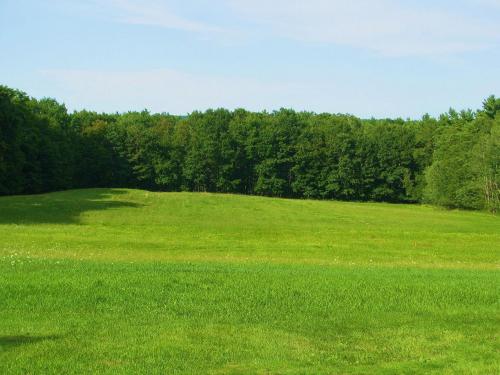 SaveBeechRidge's profile picture. OPPOSE industrial zoning on Beech Ridge Road!  Keep our neighborhood quiet, safe, residential and free from any industrial hazardous nuisances!