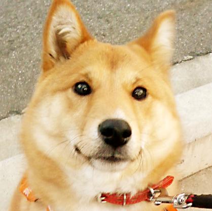 いあんさんのプロフィール画像