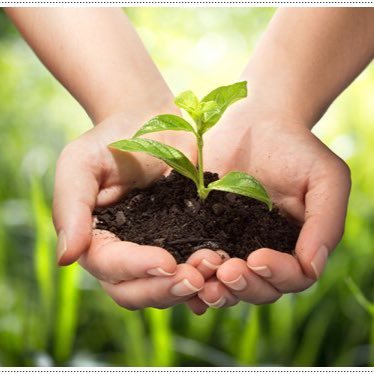 Siamo un gruppo di studenti il cui obiettivo è sensibilizzare le persone e porre l'attenzione sul problema delle micro e nanoplastiche💚💚💚