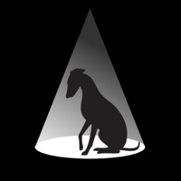 TheatreWhippet (@theatrewhippet) 's Twitter Profile Photo TheatreWhippet (@theatrewhippet) 's Twitter Profile Photo