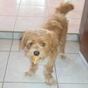 Rocio Quevedo - @RocioQ16 - Twitter