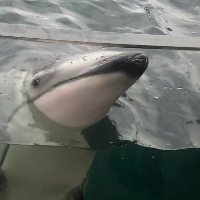 TMino39's profile picture. さぐらないで❕