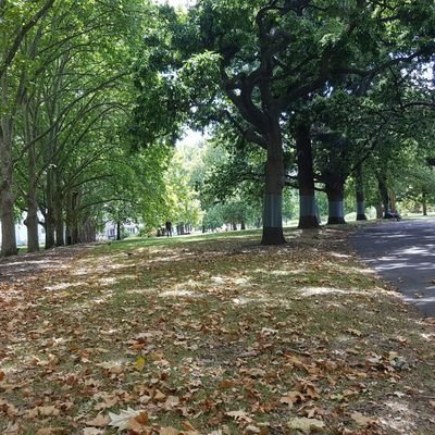 pper3010's profile picture. 