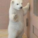 Joseph Gabler - @MisterMotion74 - Twitter