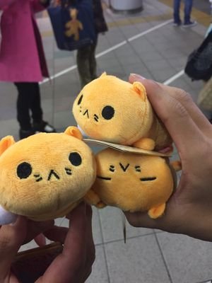 noumi0124's profile picture. 名古屋の会社に通う会社員です。甘いものがあると喜びます。