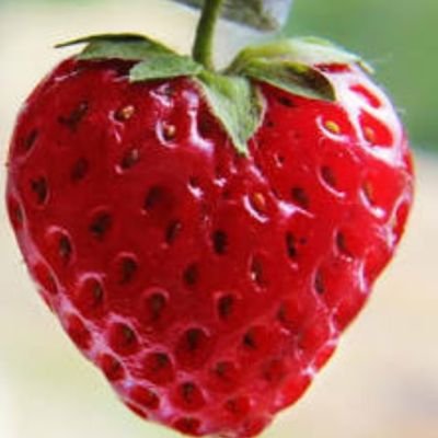 クレイジータルギ🍓(応援団)
色々と沼。🍓
じょいぷる(///∇///)
新しく増えた呼び名は짝꿍👏