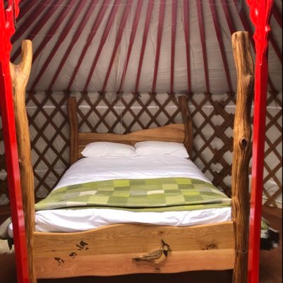 Luxury yurts in Wensleydale