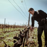 Tocat de l'Ala (@tocatdelala) 's Twitter Profile