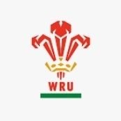 Wru Staff working within the Scarlets Region. More People - More Often - More Enjoyment.