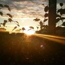 Hakim Laws - @C_Toast - Twitter