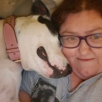 Debbie (@debbie62381626) 's Twitter Profile