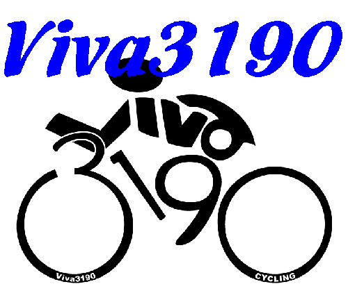 VivaDra3190