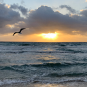 Paul Gorham - @paulngorham - Twitter