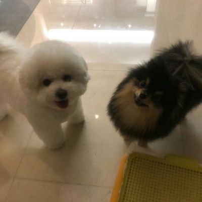 Yarmy81854239's profile picture. need a fan l don t want a boy l need a man