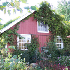 SEHerbFarm's profile picture. Southern Exposure Herb Farm is a unique destination in the rolling countryside of Calhoun County, Michigan, appealing to many tastes and interests.