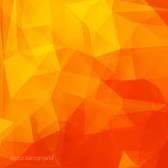 cdolan04's profile picture. Data @ Grüns