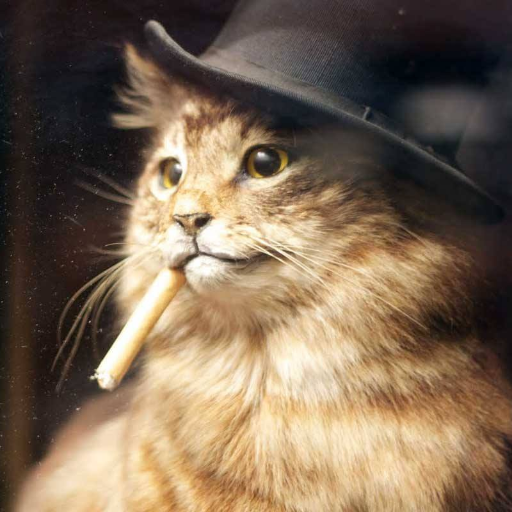 Just a tuff old kitty from Indiana who loves to see Justice prevail.
#Resist