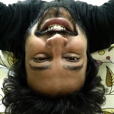 pavak's profile picture. Entrepreneur. Traveler. Designer.