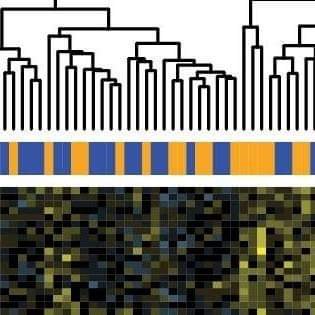 Designed to provide life science and quantitative graduates with the skills and experience necessary to analyze genomics data sets for use in precision medicine