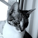 Mandy Clarke - @MandyCl01473201 - Twitter