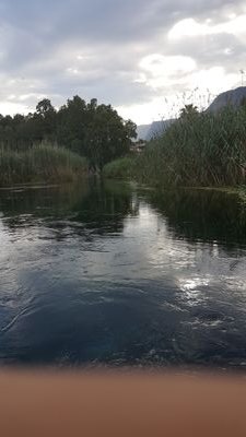 One45284519's profile picture. 