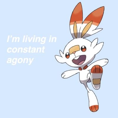 SoaRUsagi's profile picture. 