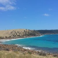 StefiPaolini (@paolinistefi) 's Twitter Profile