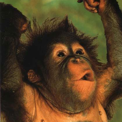 LarryAnlayaman's profile picture. anlayaman anlasan da anlataman