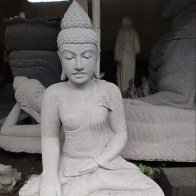 hcode26314739's profile picture. Frontal 100 %