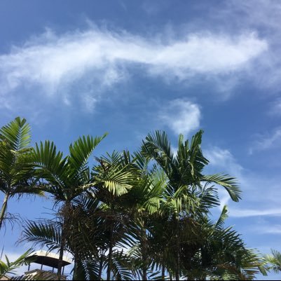 Yaoptics's profile picture. 