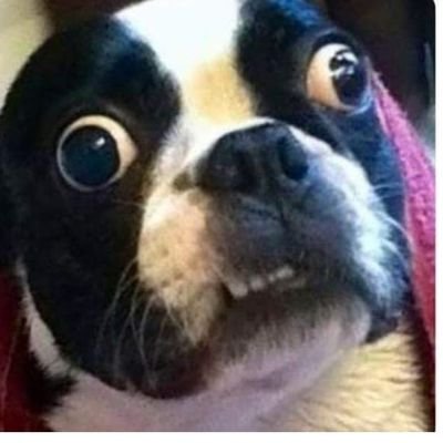 paty24951's profile picture. 