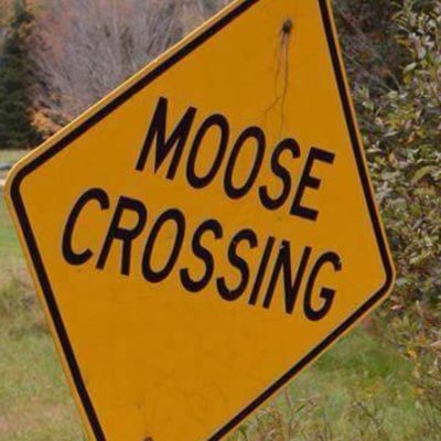 Call me Moose https://t.co/11upMN9VWr
