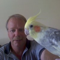 Jeff Felton ๐บ๐ธ๐ป (@mukilteo1) 's Twitter Profile