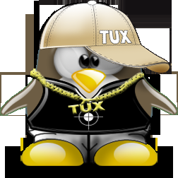 Personalización de GNU/Linux de la mano de @paran0idx