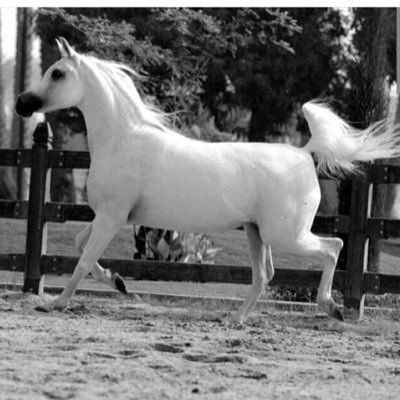 RtV5umfcOcdbDkI's profile picture. 