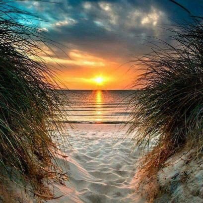 Monica44342259's profile picture. 