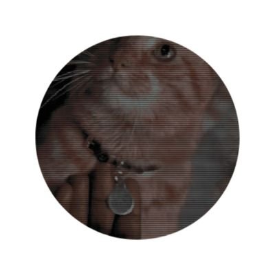 ⠀⠀⠀ ⠀⠀⠀⠀ ⠀meow — 𝐦𝐞𝐨𝐰. ⠀⠀⠀⠀ ⠀⠀⠀⠀ ⠀⠀⠀⠀ ⠀⠀⠀⠀ ⠀⠀⠀⠀ ⠀⠀⠀⠀ ⠀⠀⠀⠀ ⠀⠀⠀⠀ ⠀⠀⠀⠀ meow meow 𝐦𝐞𝐨𝐰, ⠀⠀⠀⠀ ⠀⠀⠀⠀ ⠀⠀⠀⠀ ⠀⠀⠀⠀ ⠀⠀⠀⠀ meow meow 𝐦𝐞𝐨𝐰.