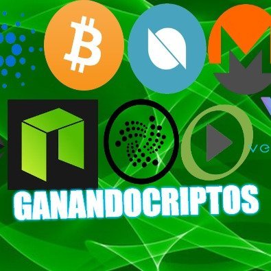seguidor de la tecnología y las criptomonedas