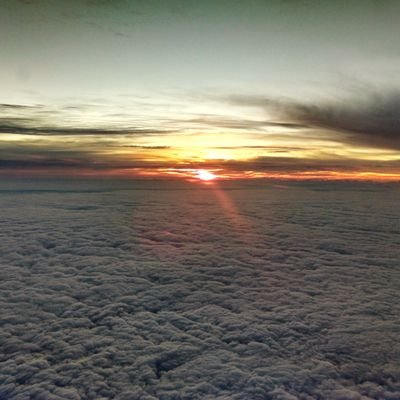 alemagaldi's profile picture. 