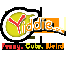 yiddieonline's profile picture. http://t.co/1BWlM5gqX2 Funny, Cute, Weird Pics and Videos