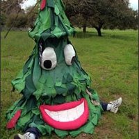 Stanford Tree Fan 69 (@tree_is_best) 's Twitter Profile