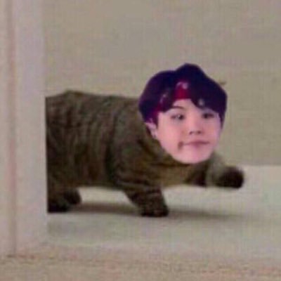 tttvzqb's profile picture. 